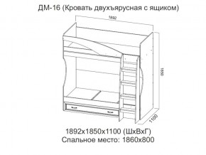 ДМ-16 Кровать двухъярусная с ящиком в Пласте - plast.magazin-mebel74.ru | фото