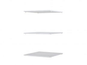ПЛ-202 Полки комплект из 3-х полок в Пласте - plast.magazin-mebel74.ru | фото