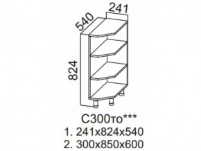 С300то Стол-рабочий 300 (торцевой открытый) в Пласте - plast.magazin-mebel74.ru | фото