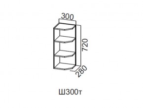 Ш300т/720 Шкаф навесной 300/720 (торцевой) в Пласте - plast.magazin-mebel74.ru | фото