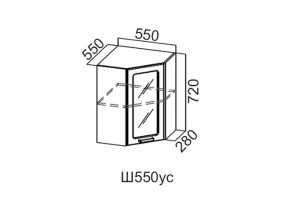 Ш550ус/720 Шкаф навесной 550/720 (угловой со стеклом) в Пласте - plast.magazin-mebel74.ru | фото