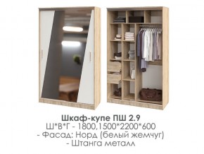 шкаф-купе ПШ-2.9 1500 Норд Белый жемчуг 1500 в Пласте - plast.magazin-mebel74.ru | фото