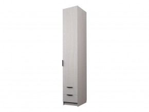 Шкаф с 2 ящиками со штангой Экон ЭШ1-РП-19-4-R-2я в Пласте - plast.magazin-mebel74.ru | фото