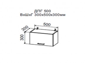 Шкаф верхний ДПГ500 горизонтальный в Пласте - plast.magazin-mebel74.ru | фото