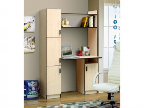 Стол компьютерный №13 лдсп в Пласте - plast.magazin-mebel74.ru | фото
