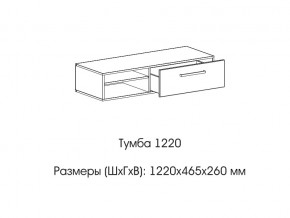 Тумба 1220 (низкая) в Пласте - plast.magazin-mebel74.ru | фото