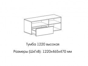 Тумба 1220 (высокая) в Пласте - plast.magazin-mebel74.ru | фото